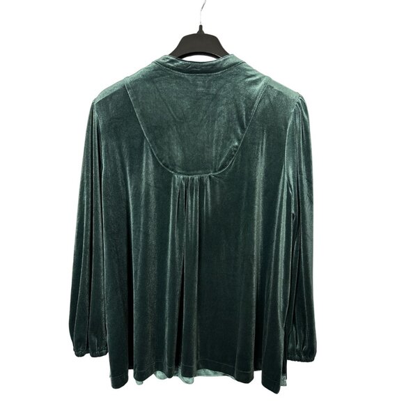 Terra & Sky Green Velvet Blouse - Picture 2 of 3